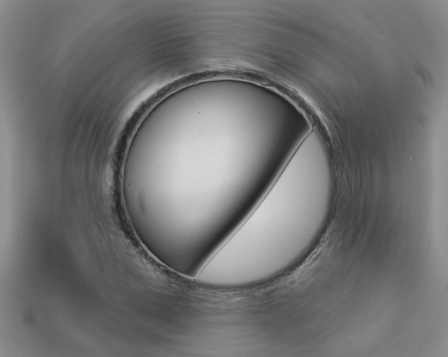 X0000113270975200909101307