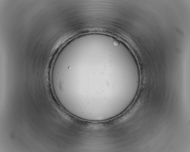 X0000113270978200909101307