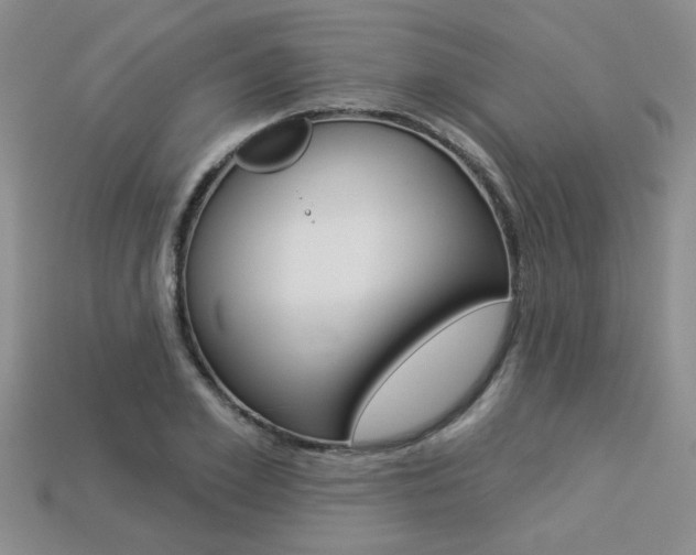 X0000113270981200909101307