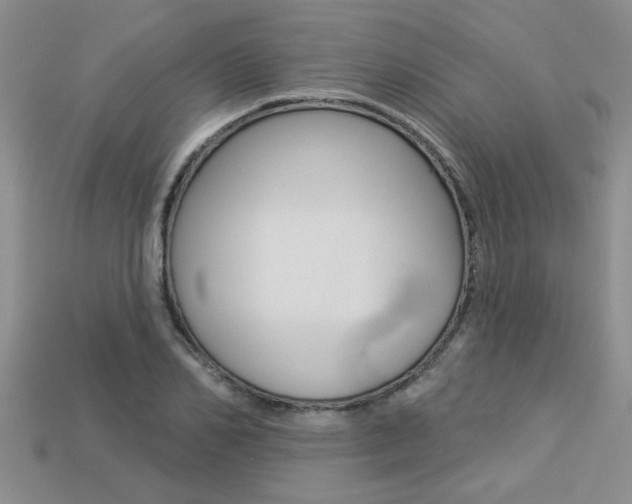 X0000113270982200909101307