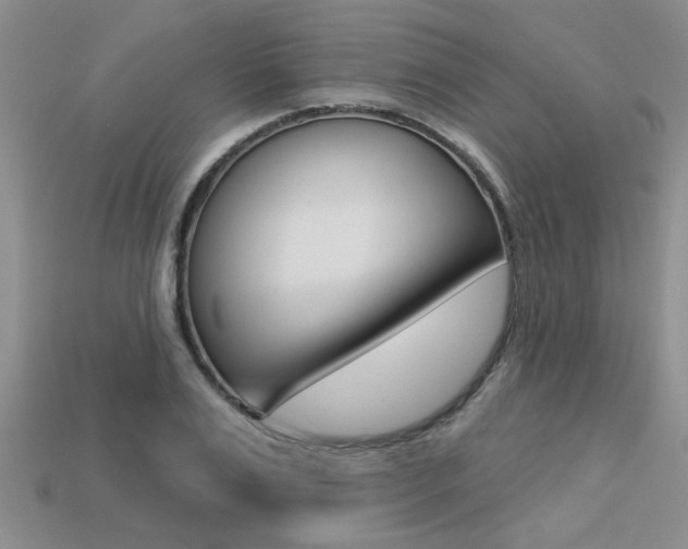 X0000113270983200909101307