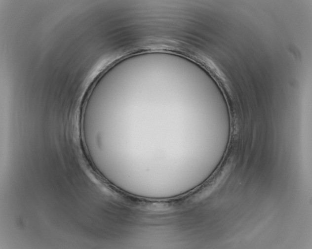X0000113270986200909101307