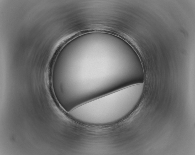 X0000113270987200909101307