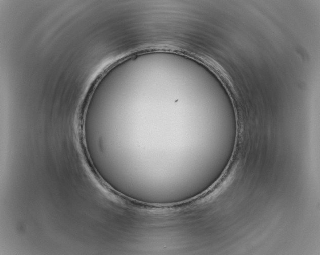 X0000113270989200909101307