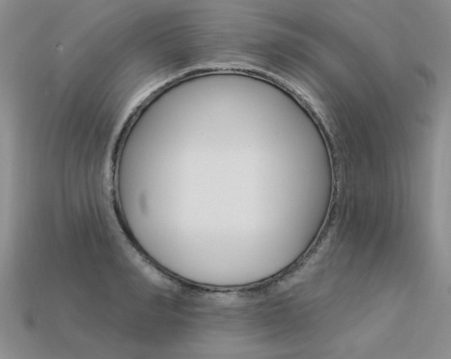 X0000113270990200909101307