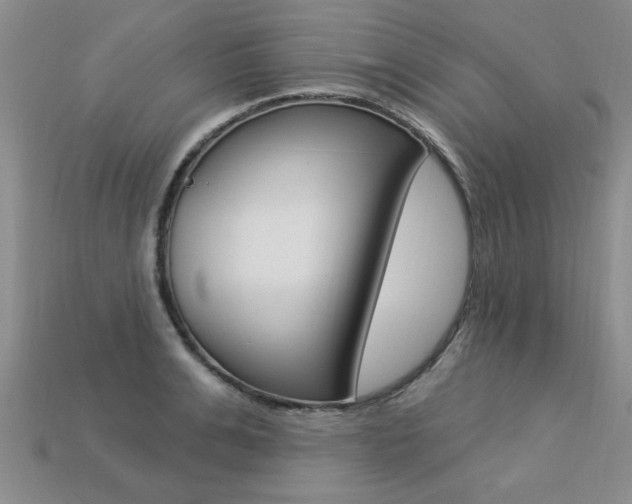 X0000113270991200909101307