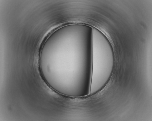 X0000113270992200909101307
