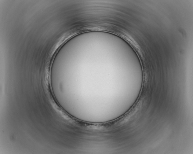 X0000113270994200909101307