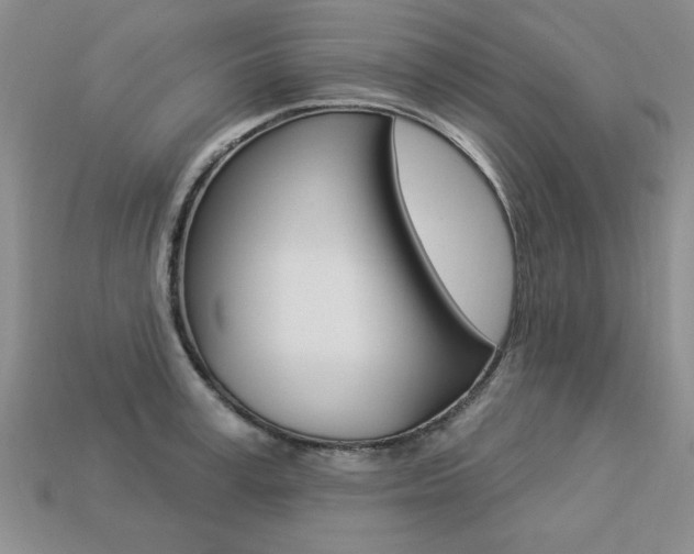 X0000113270995200909101307
