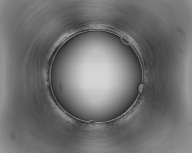X0000113270997200909101307
