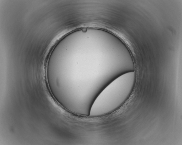 X0000113270998200909101307