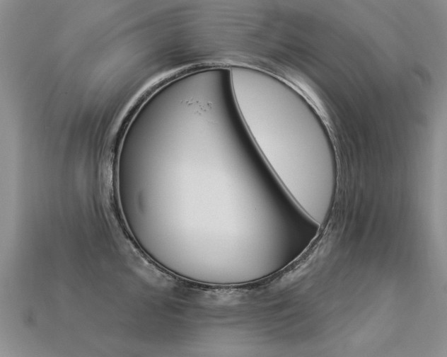 X0000113271000200909101307