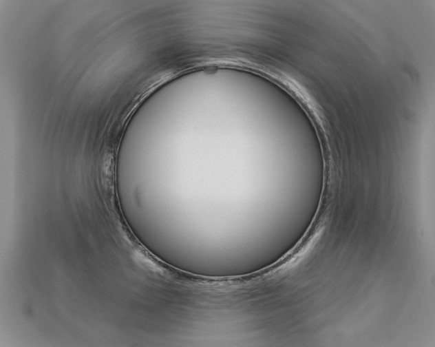 X0000113271001200909101307