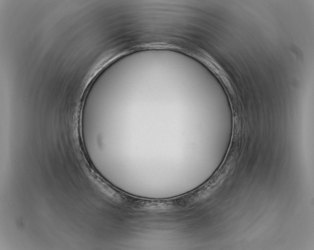 X0000113271002200909101307