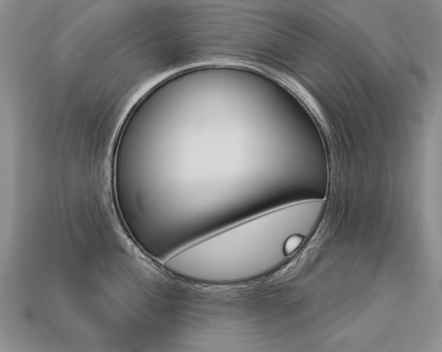 X0000113271004200909101307