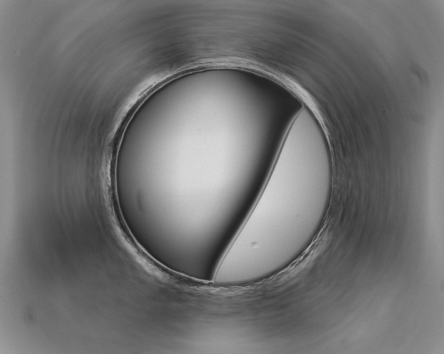 X0000113271005200909101307