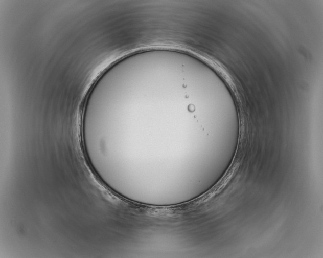 X0000113271006200909101307