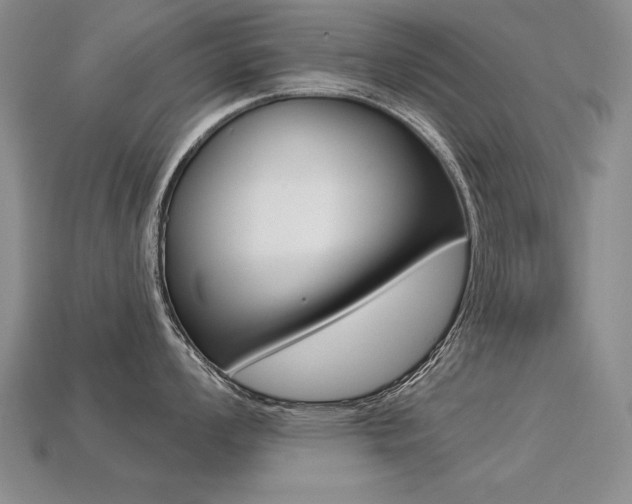 X0000113271008200909101307