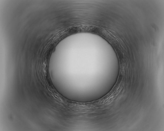 X0000113271010200909101306