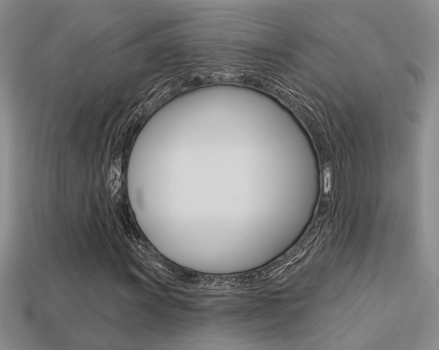 X0000113271011200909101306
