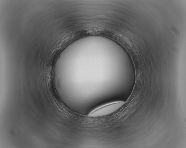 X0000113271012200909101306