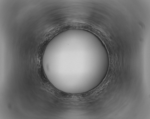 X0000113271013200909101306