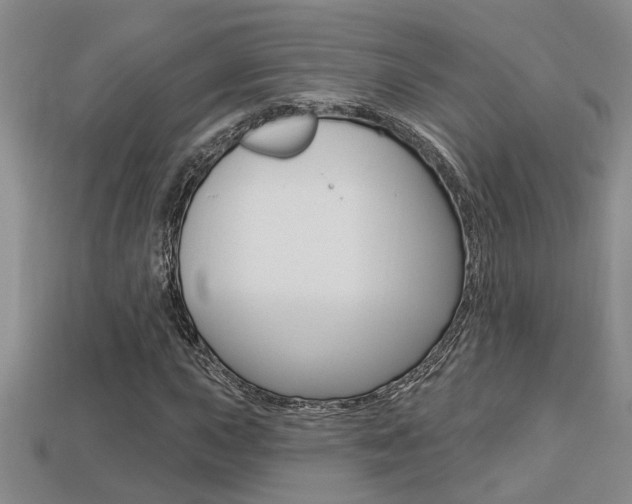 X0000113271015200909101306