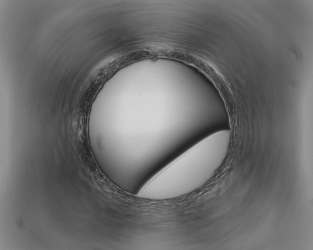 X0000113271016200909101306