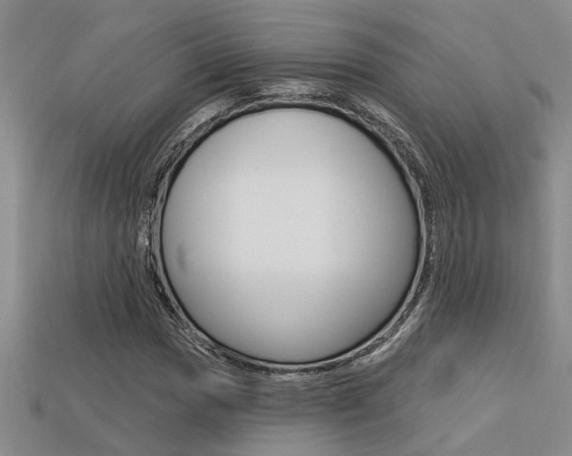 X0000113271017200909101306
