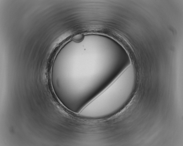 X0000113271018200909101306