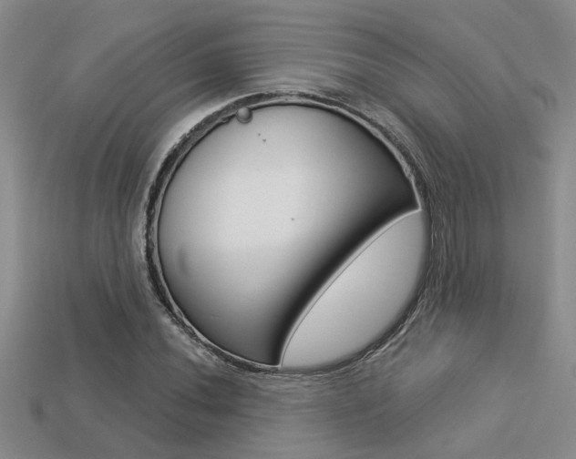 X0000113271020200909101306