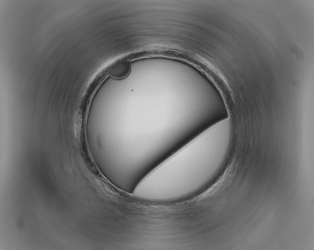 X0000113271021200909101306