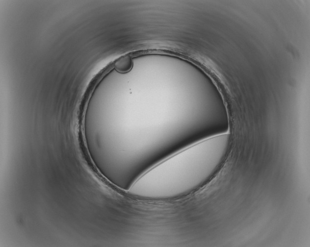 X0000113271024200909101306