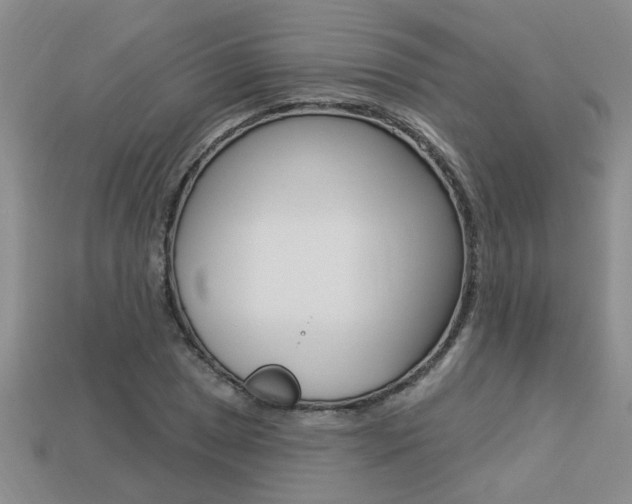 X0000113271025200909101306