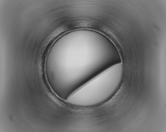 X0000113271026200909101306
