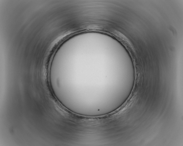X0000113271027200909101306