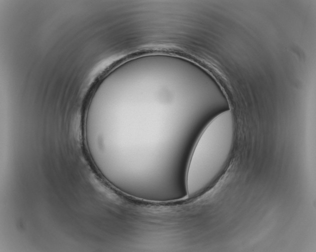 X0000113271030200909101306