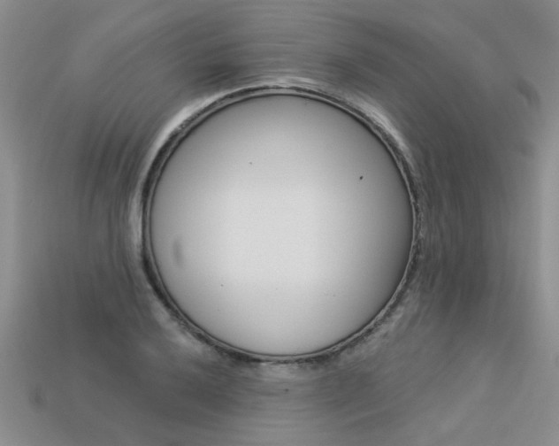 X0000113271032200909101306