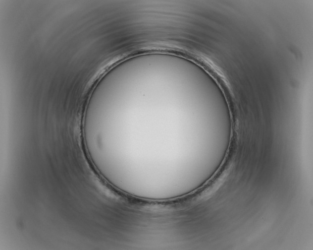 X0000113271033200909101306
