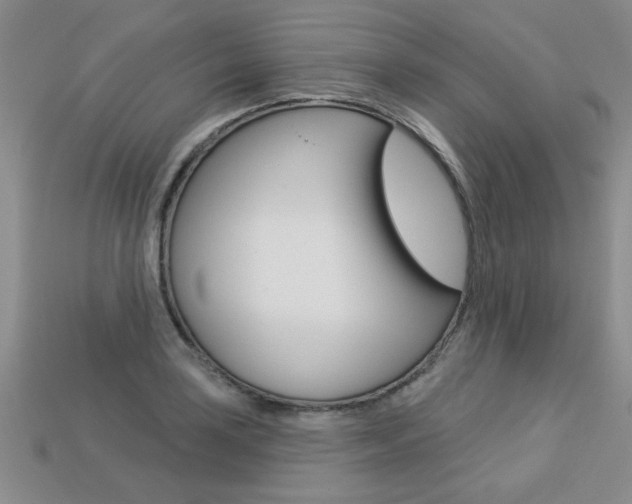 X0000113271035200909101306