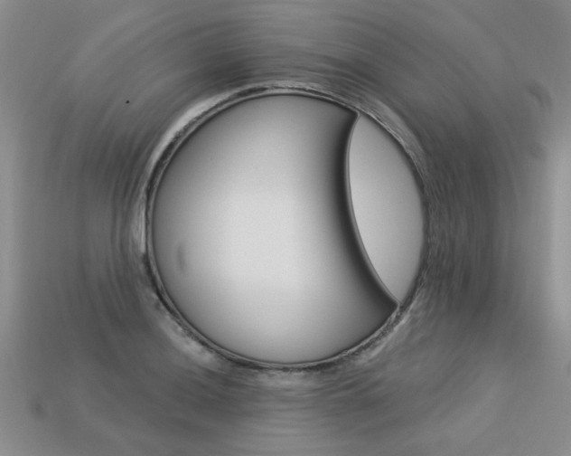 X0000113271036200909101306