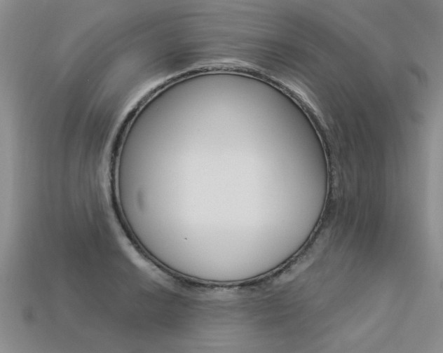 X0000113271038200909101306