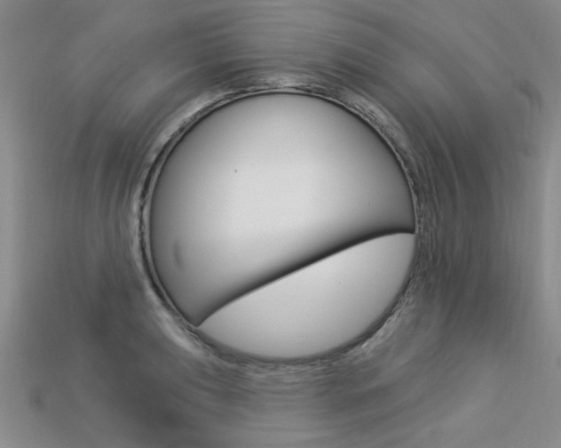 X0000113271039200909101306