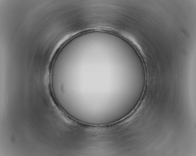 X0000113271040200909101306