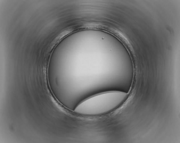 X0000113271041200909101306