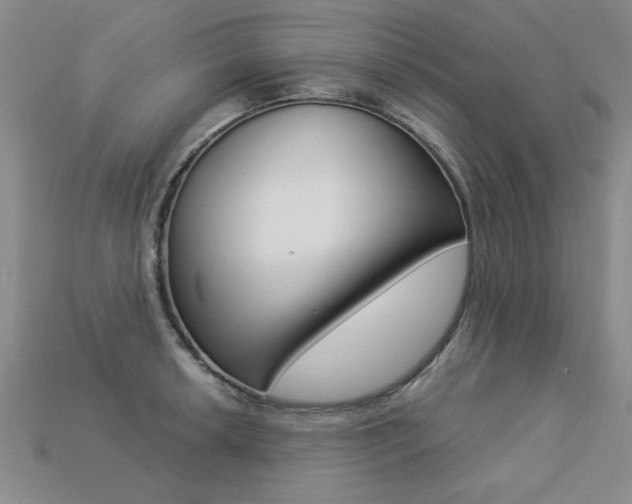 X0000113271042200909101306
