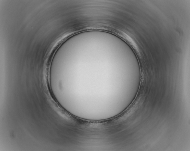 X0000113271043200909101306