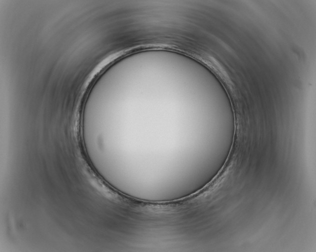 X0000113271044200909101307