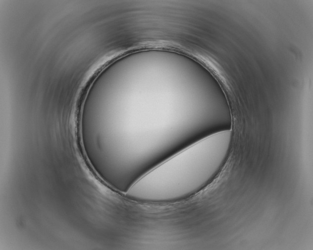 X0000113271046200909101307