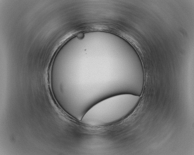 X0000113271047200909101307